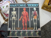 anatomie 2000